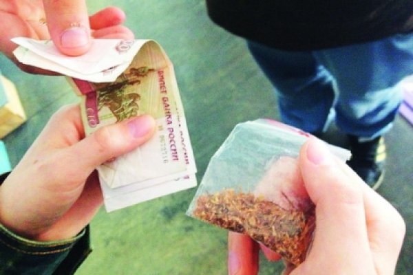 Сайт кракен войти