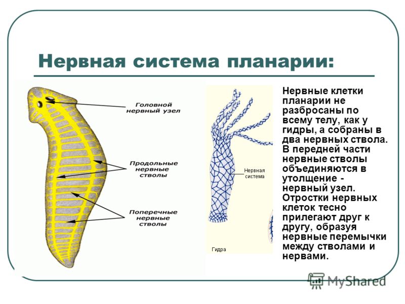 Кракен купить меф