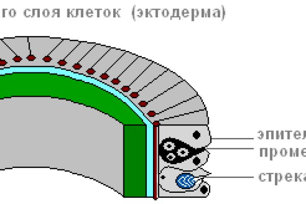 Kraken официальный сайт ссылка через tor