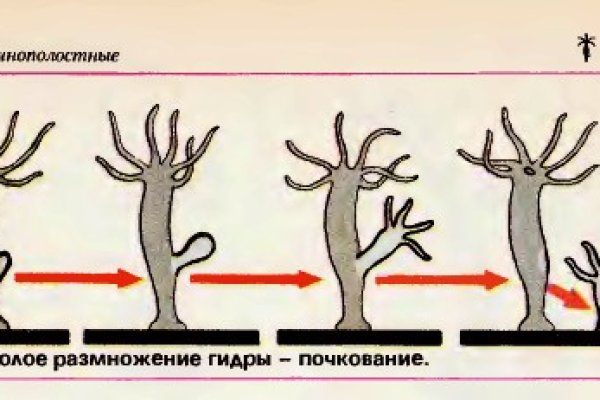 Вывести деньги с кракена