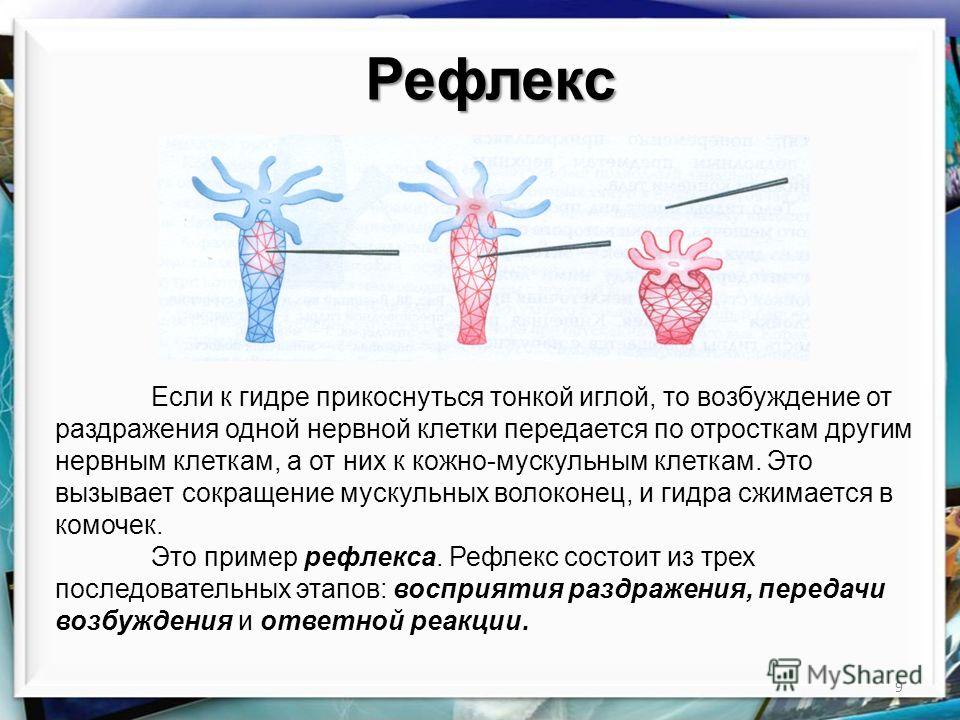 Кракен сайт 14